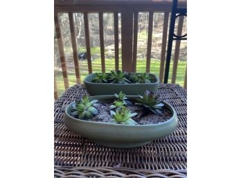 Floraline Planters Filled With Hens & Chicks