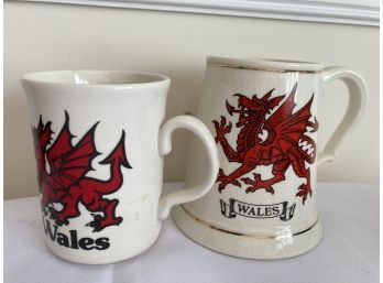 2 Steins From Wales The Welsh Beaker. Company Made In Wales