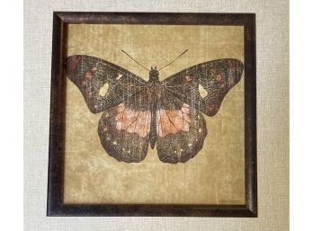 Framed Katie Pertiet Butterfly Print