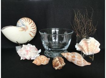 High Quality Etched Heirloom Bowl From Andersons Nantucket, Nautilus Shell On Marble Stand, Clam Shell, Plus