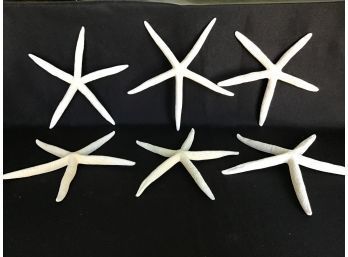 6 Starfish