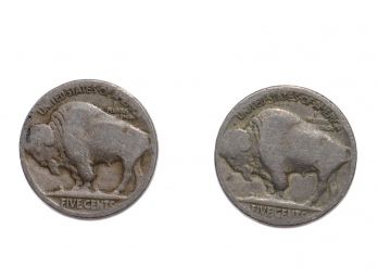 2 Buffalo Head Nickels