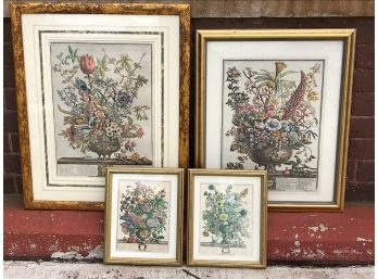 Framed Botanical Prints -  Bridgeport Pickup