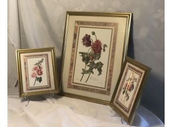 3 Framed & Matted Prints With Paisley Border Design