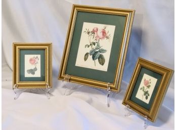3 Gold Framed & Matted Rose Prints