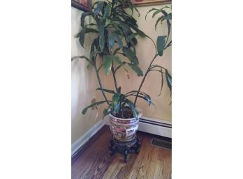 Asian Plant Pot & Stand W/indoor Plant Included