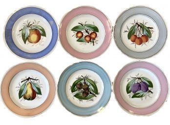 Six Antique Hand Painted Fruit Themed Plates 8'