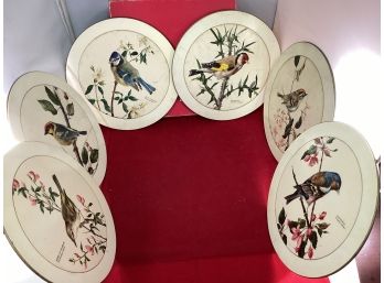 Vintage Set Of 6 Sheraton Birds By A. Marlin Trivets Made In England In Original Box