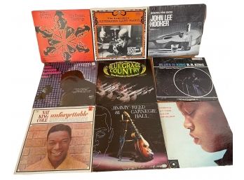 Nine LP  Albums. Mostly Blues. John Lee Hooker, Gary Davis, Chuck Willis, B.B. King  ( #3)