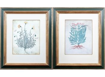 Pair Of Quintess Art Collection Limited Botanical Prints FROM Lillian August