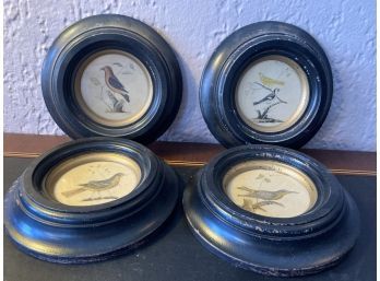 4 Framed Birds Vintage