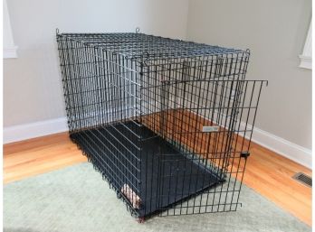 Large Foster & Smith Dog Crate