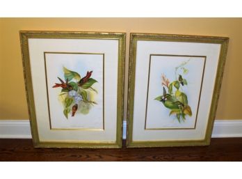 Pair Of Botanicals After The Painting By John Gould & H. C. Richter