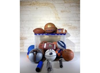 Sports Balls Group With Air Pumps