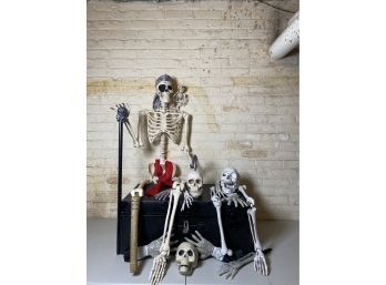 One Eyed Willy And Partial Mates Bones With Treasure Chest Storage (group)