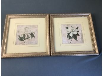 Pair Of Signed White Flower Prints