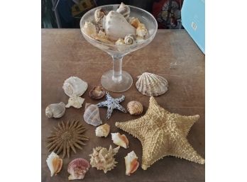 Glass Compote Full Of Actual Seashells Including A Full Starfish!