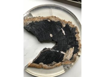 Petrified Wood Brocken Pieces
