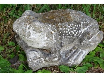 Concrete Bull Frog  Garden Statue