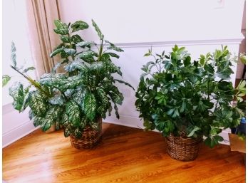 Two Large Artificial Plants