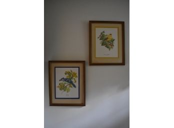 Pair Of Gallery Framed Bird Prints