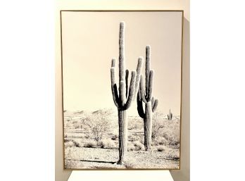 Middle Of Nowhere!  Large Framed Photo Print On Canvas (LOC: W1)