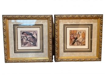 Pair Of Beautifully Framed Bird's Prints.