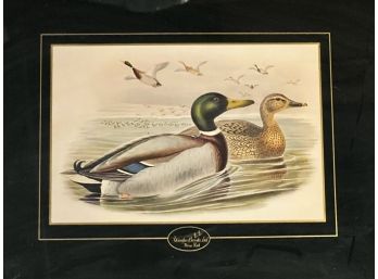 Warden Brooks . Ltd. Duck Tray With Gilt Border