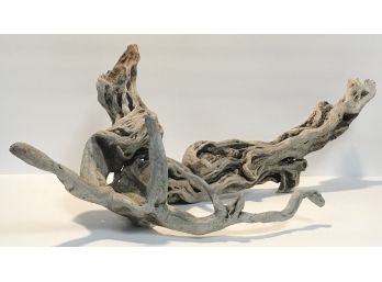 Intricate Gnarly Root Drift Wood -