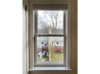 A Collection Of 23 Double Hung Andersen Thermopane Windows - Rear House