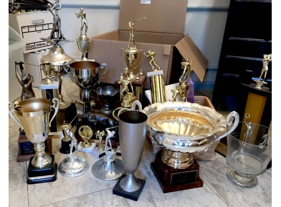 Large Group Of Trophies