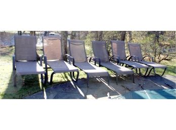Group Of Lounge Chairs