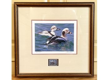 RARE 2009-2010 Framed Federal Duck Stamp Print By Joshua Spies - SIGNED & NUMBERED ($200 And Up At Auction)