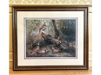 Vintage Framed Print Of A Quail Covey By Texas Artist Travis Keese