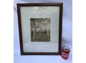 Framed Photo By Burrowes Titles 'Mid Summer'