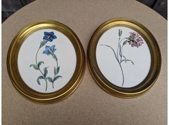 A Pair Of Oval Framed Floral Prints