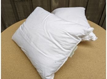 A Pair Of Small Pottery Barn Down Pillows