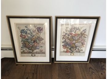Framed Vintage Calendar Botanical Prints
