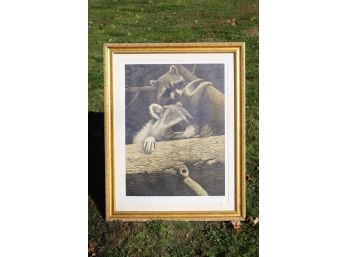 Vintage Framed Raccoon Print, Signed Hayes
