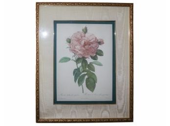 The Bombay Company Private Collection 'The Rose'