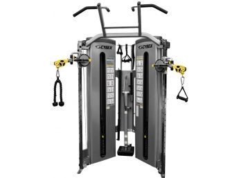 CYBEX Bravo Dual Adjustable Pulley With Extension Chin-up Trainer