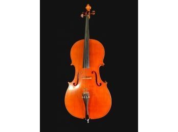 Student Model Cello
