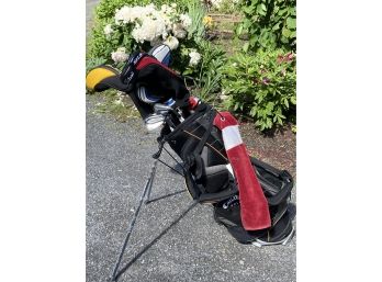 Callaway Golf Bag W Stand Taylormade Titleist 913 D2 Driver King Cobra M/12.0 SpeedlD Offset Golf Club