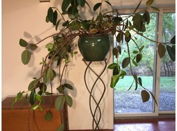 Tall Spiral Wrought Iron Plant Stand With Potted Plant. (Click On Photograph For Full Description And Additional Photos)