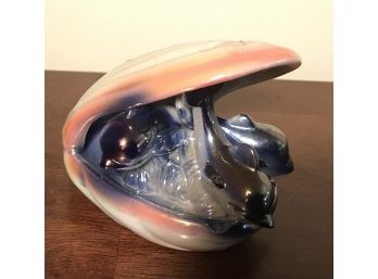 Dolphin In A Shell