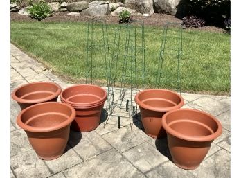 Garden Topiary's And Planter Pots