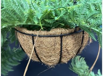 A Faux Fern In A Hanging Wire Basket