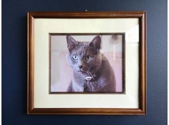 Frame With Matte, Holds 8x10 Photo