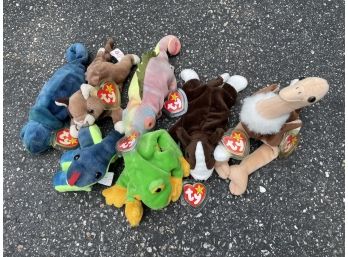 Beanie Baby Lot ~ All NWTP ~