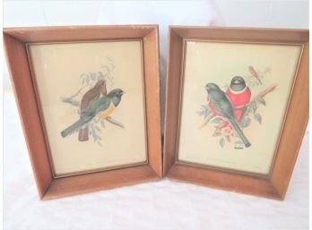 Pair Of Vintage Gould Bird Prints